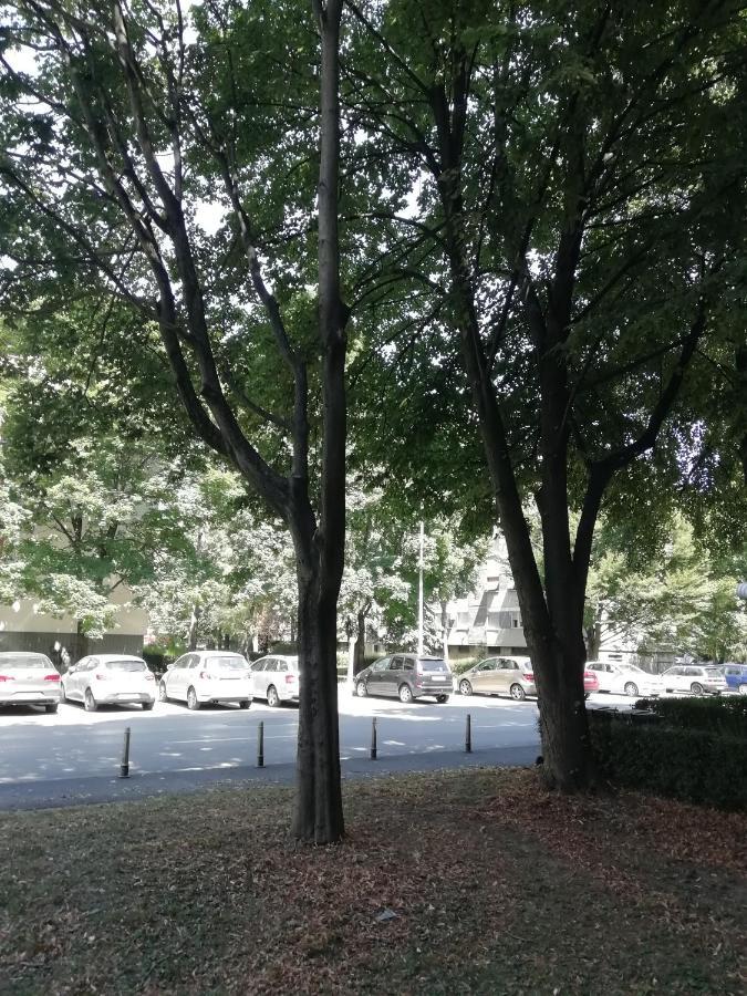 Šarmantni apartman Malecka Záhřeb Exteriér fotografie